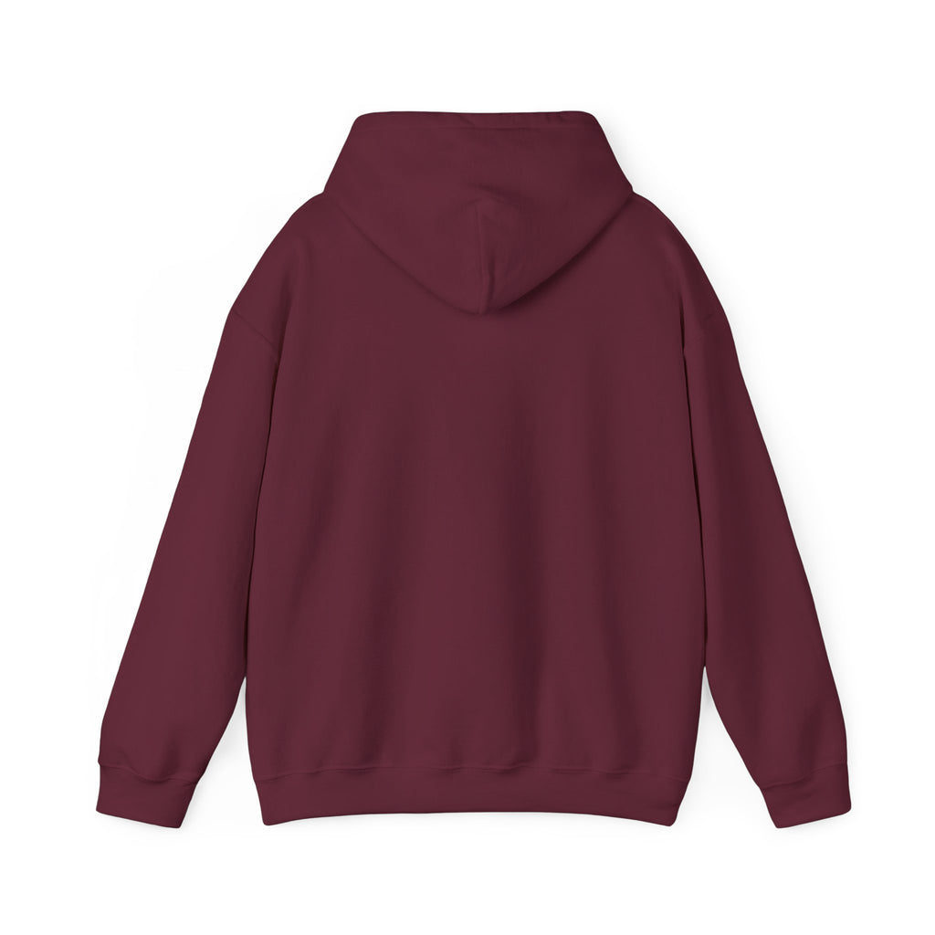 Physicians for Patient Protection Logo Hoodie — Medical Advocacy Pullover