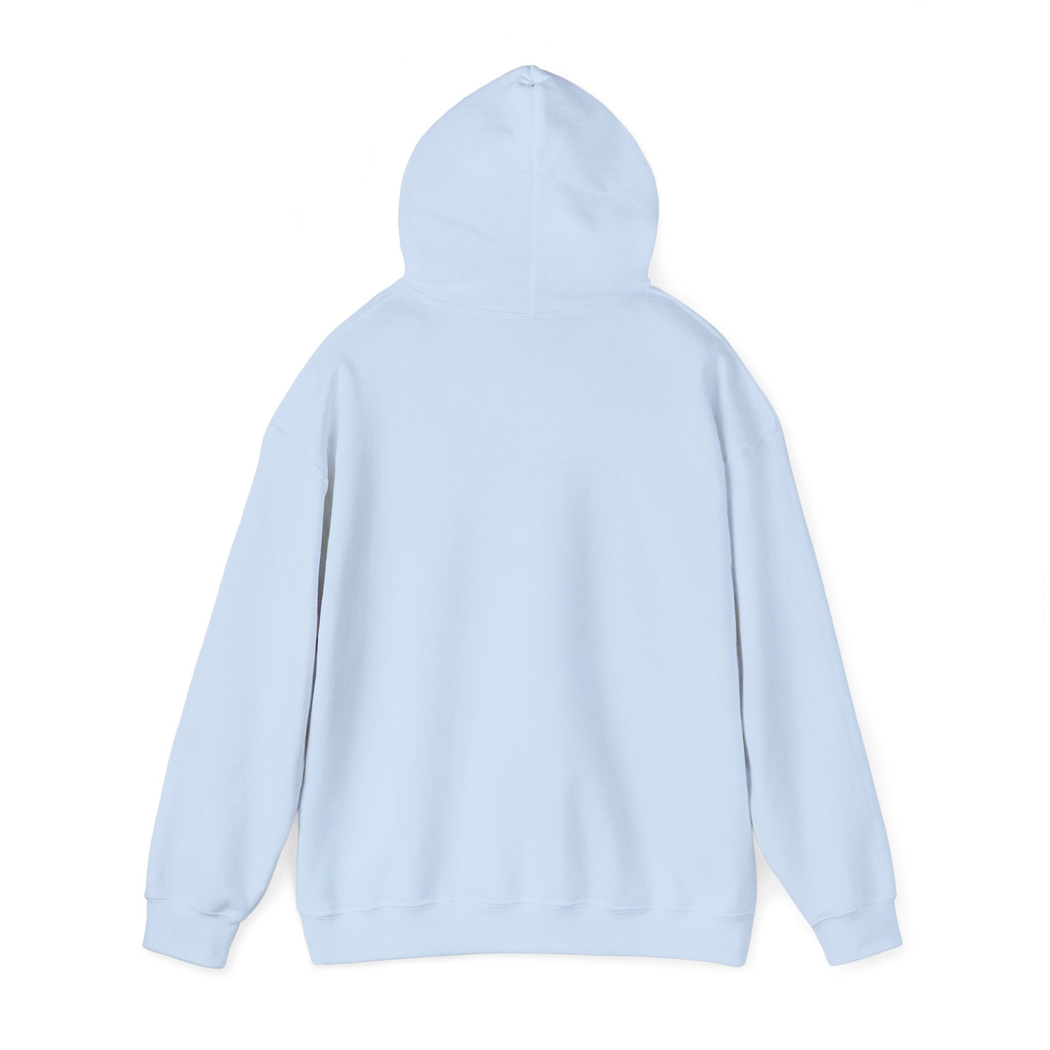 Physicians for Patient Protection Logo Hoodie — Medical Advocacy Pullover