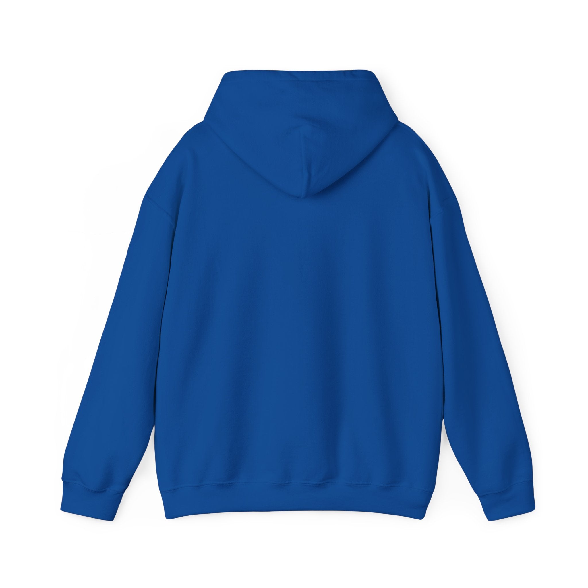 Physicians for Patient Protection Logo Hoodie — Medical Advocacy Pullover