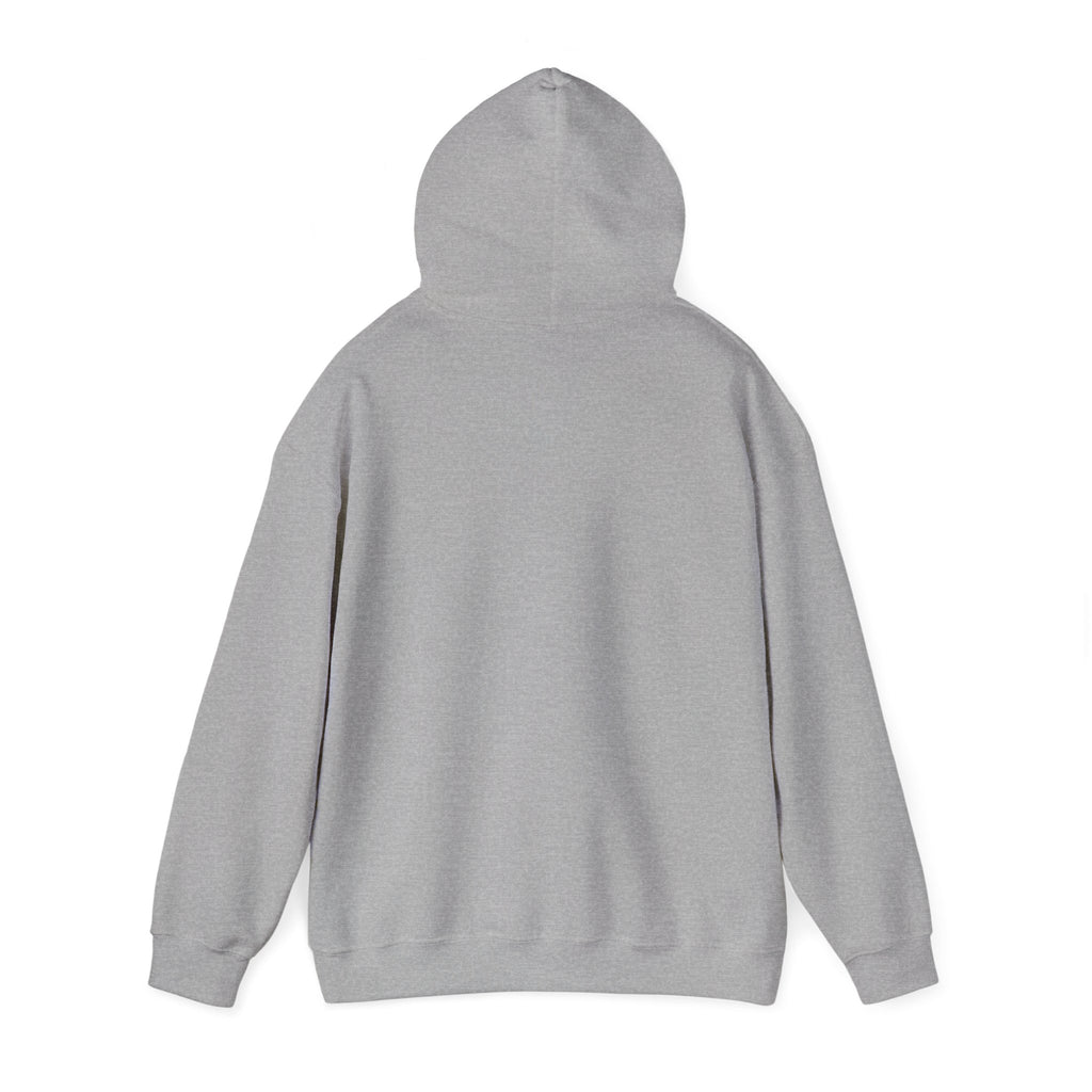 Physicians for Patient Protection Logo Hoodie — Medical Advocacy Pullover