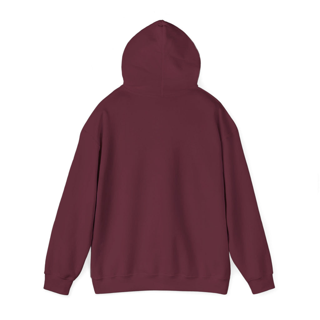 Physicians for Patient Protection Logo Hoodie — Medical Advocacy Pullover