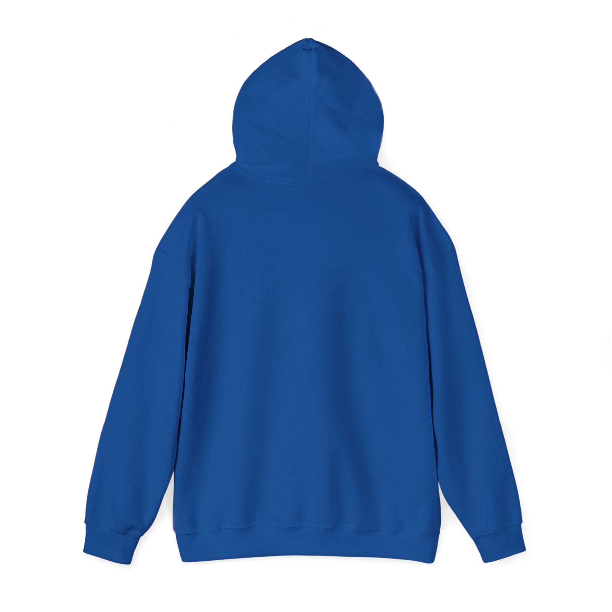 Physicians for Patient Protection Logo Hoodie — Medical Advocacy Pullover